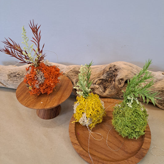 苔玉 mossan 3個セット