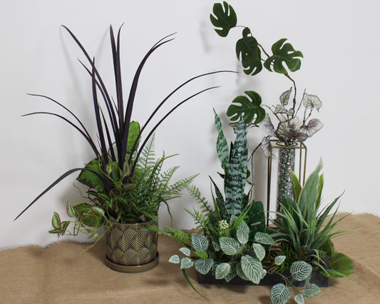 光触媒アーティフィシャルグリーンアレンジ定期便 5000円コース